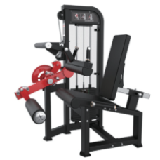 Разгибание и сгибание ног (Leg Extension & Leg Curl) HM-84C